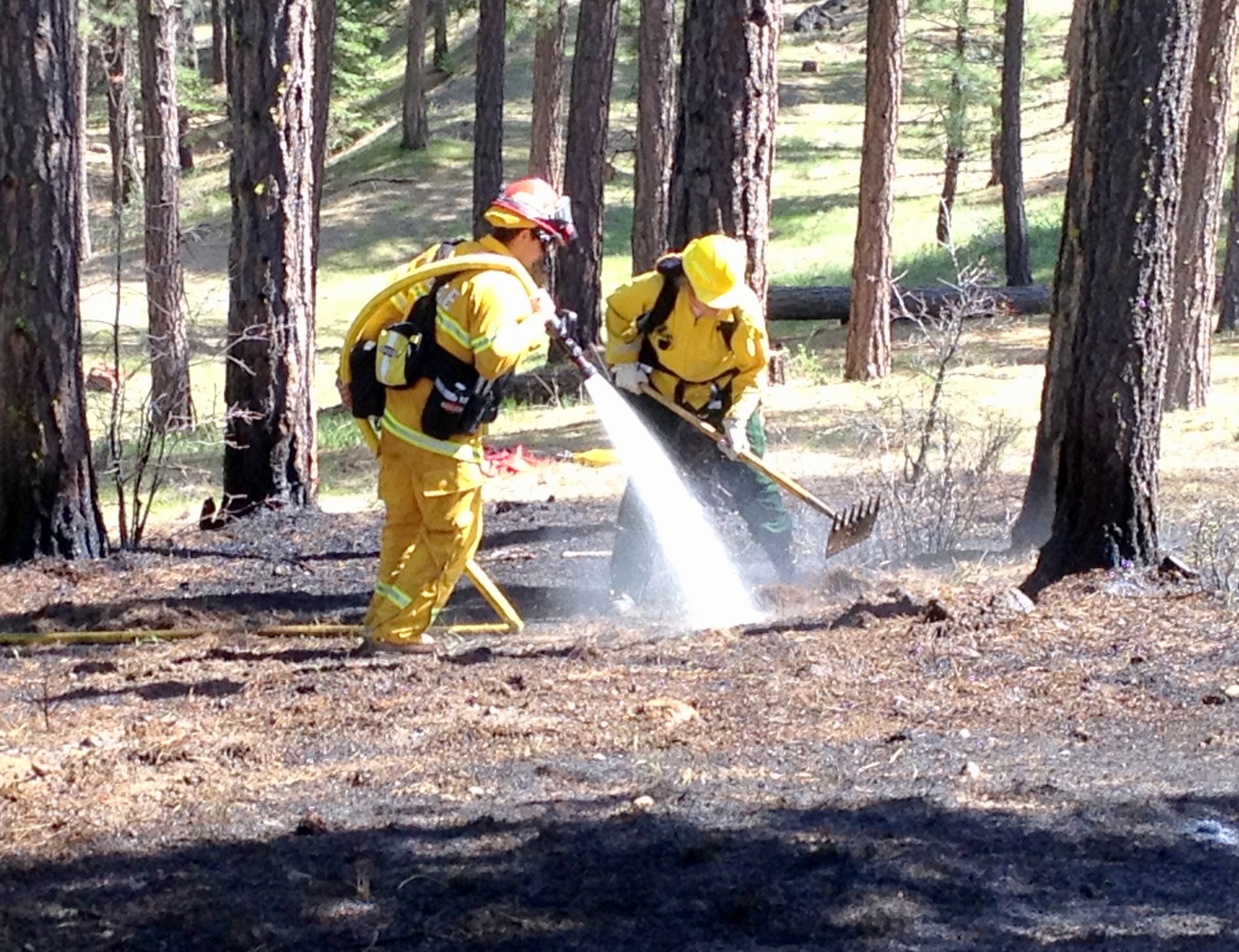 Wildland Fire - 1