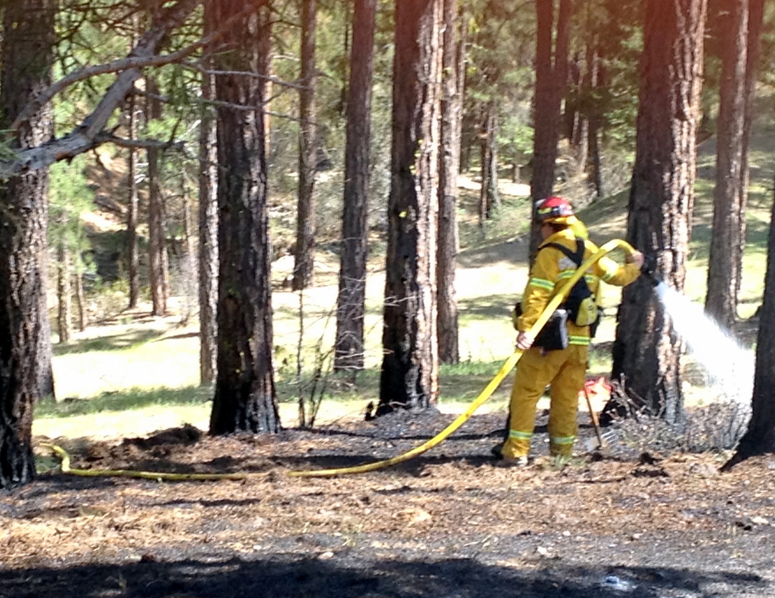 Wildland Fire - 2